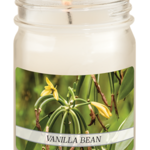 Premium Scent Vanilla Bean 12 oz Candle